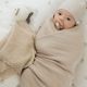 Niedliches Schnuffeltuch / Doudou Fisch